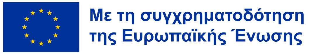 Co-funded by the European Union