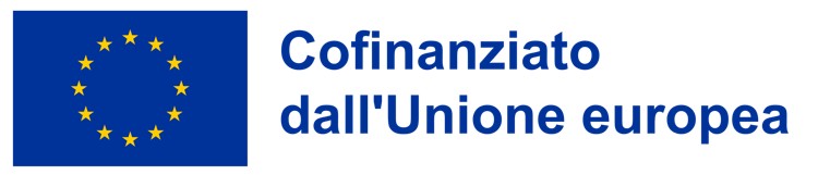 Co-funded by the European Union